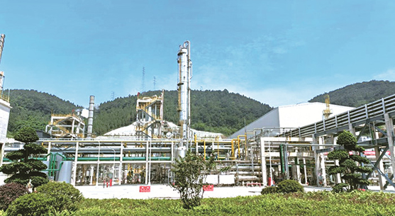 工程全过程咨询及监理