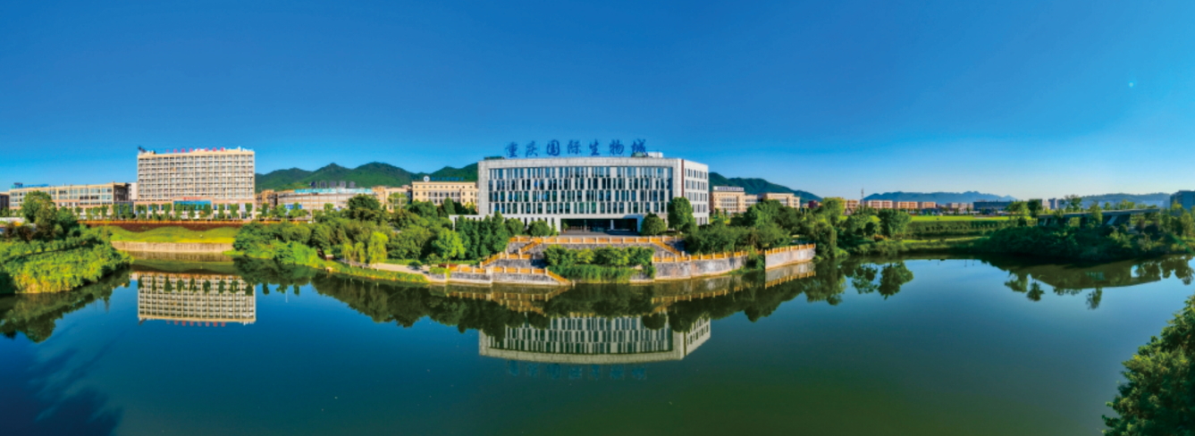 重庆国际生物城2022年度100万以下结算审核项目